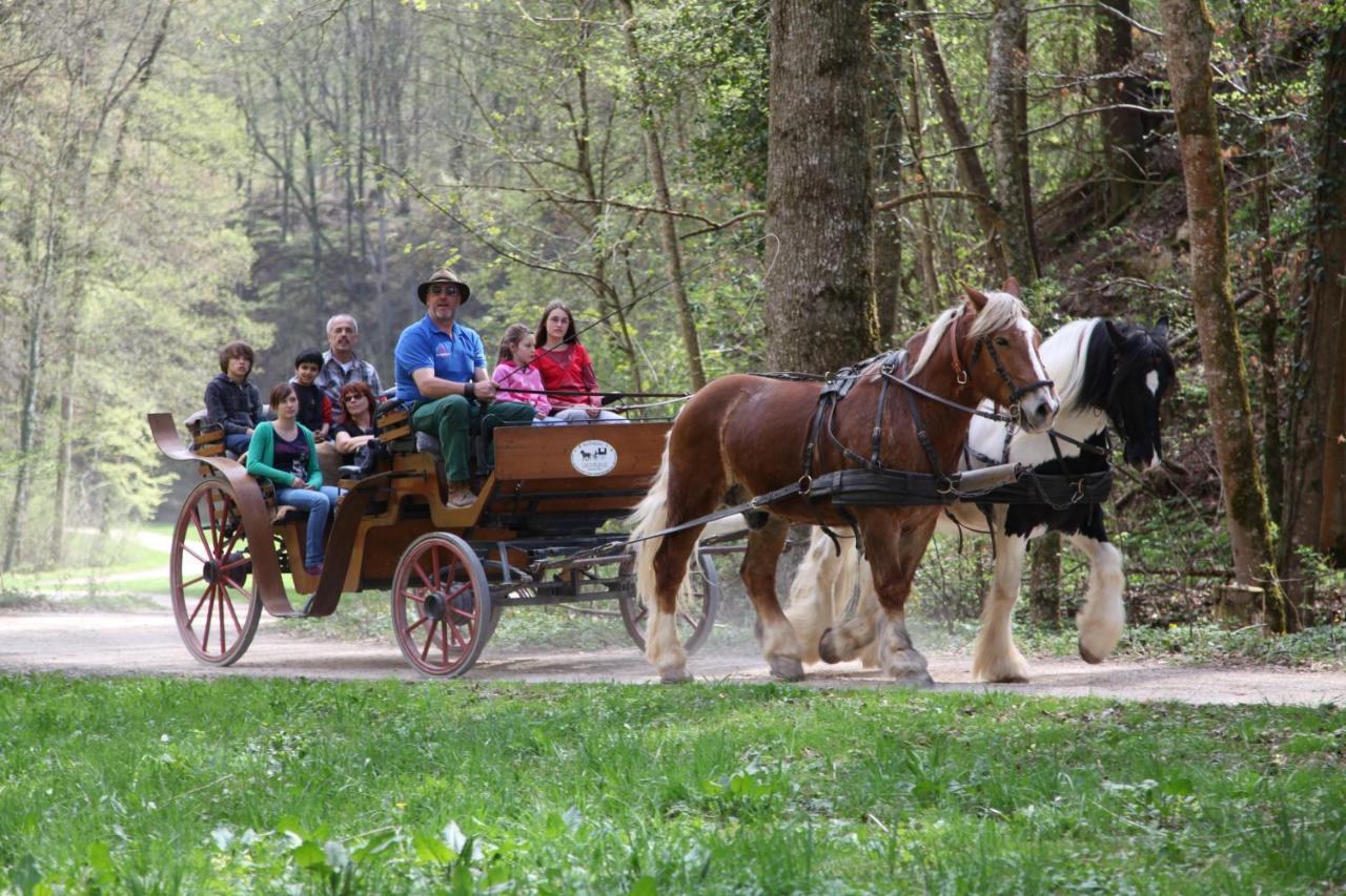 Erlebnisgastronomie Lochmuhle 3* Eigeltingen